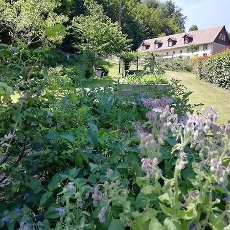 La Climontaine Bed and Breakfast Urbeis Exteriör bild
