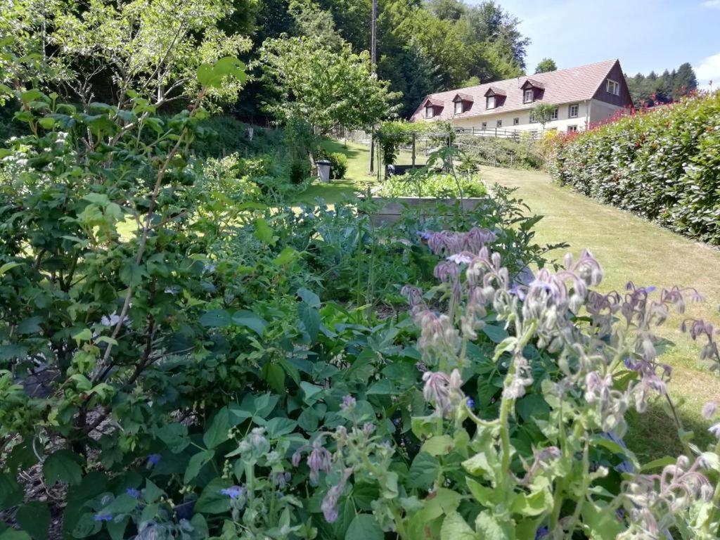 La Climontaine Bed and Breakfast Urbeis Exteriör bild